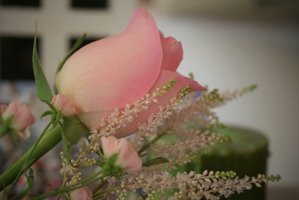 ピンクのバラと小さいバラと.jpg